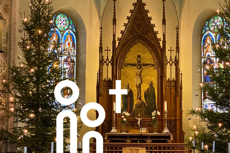 View of the Christmas trees in the German Church in Helsinki.