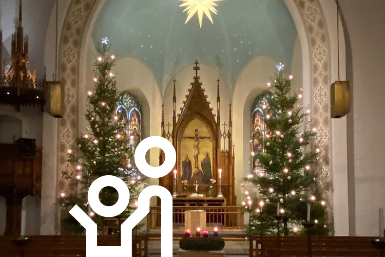 View of the Christmas trees in the German Church in Helsinki.